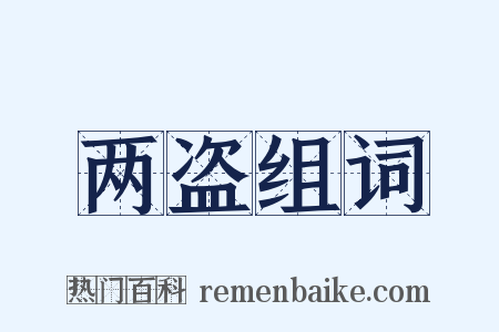 两盗组词是什么意思的图片